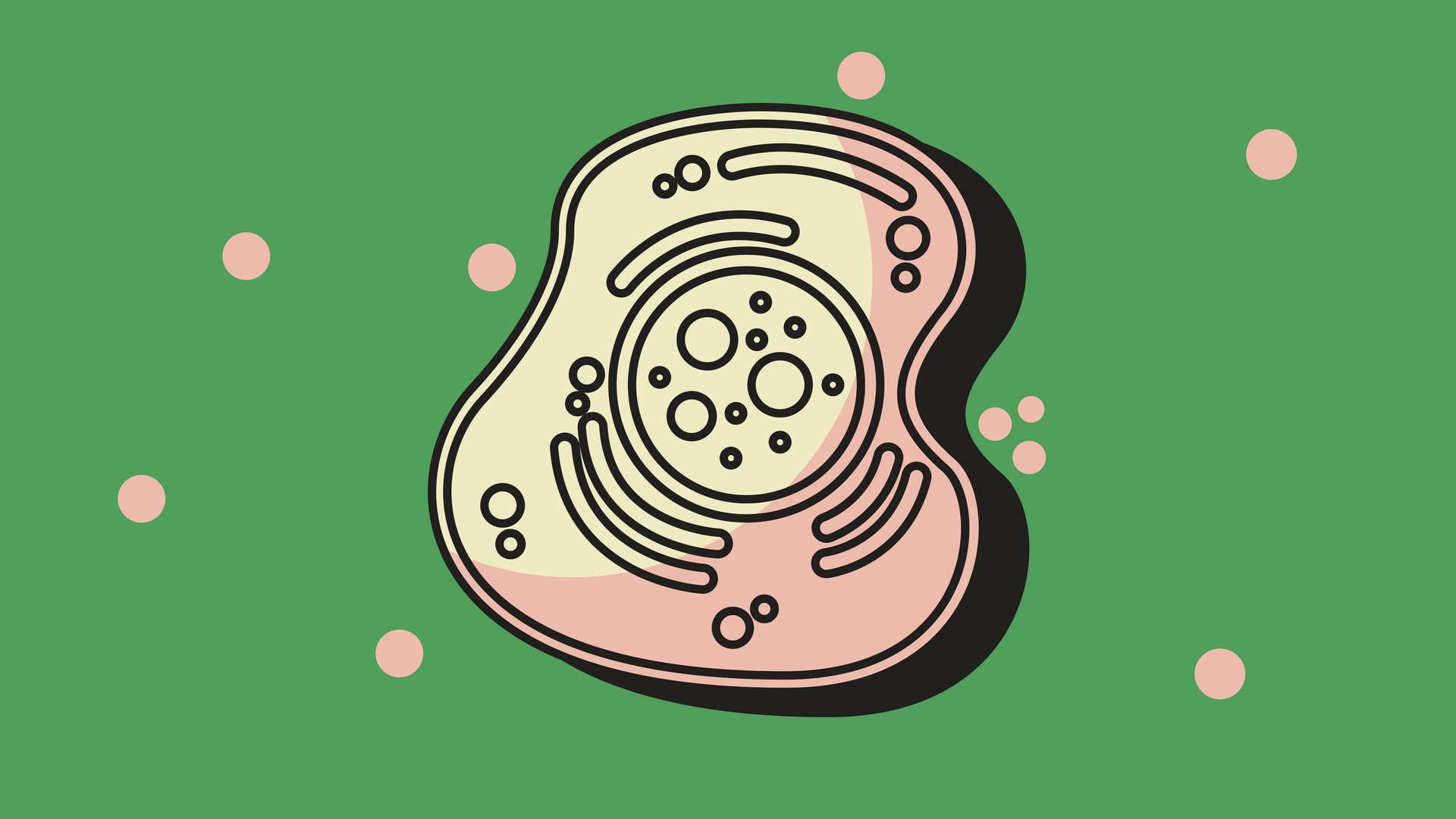 Cells may be using protons to detect leaks, says study